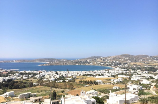 Discover the Ultimate vibe of Parikia: island Cats & Alleys